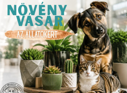 Növényvásár az állatokért a Szinvaparkban!